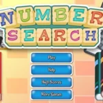 Number Search